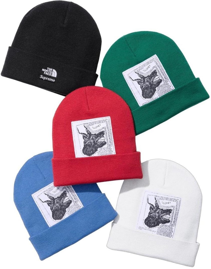 Supreme®/The North Face® Beanie